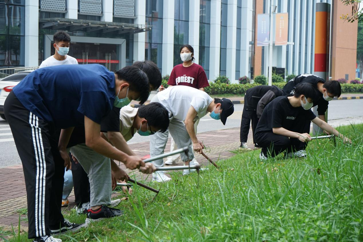 同學(xué)們在清除雜草