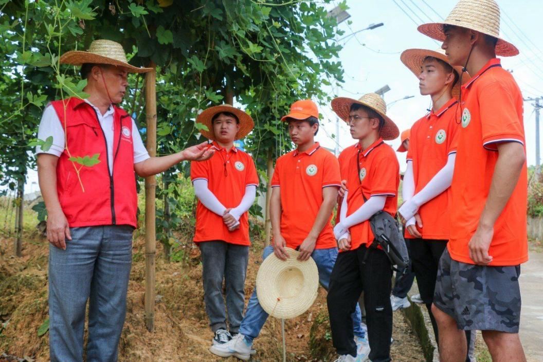 實踐團(tuán)向講解員了解粉葛種植