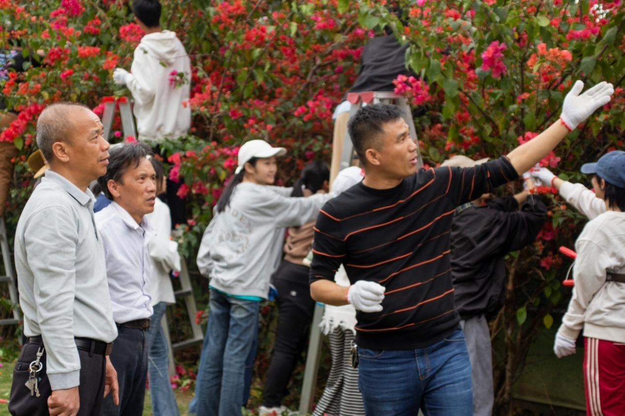 林業(yè)營(yíng)會(huì)長(zhǎng)（第一排右一）介紹四季紅三角梅習(xí)性