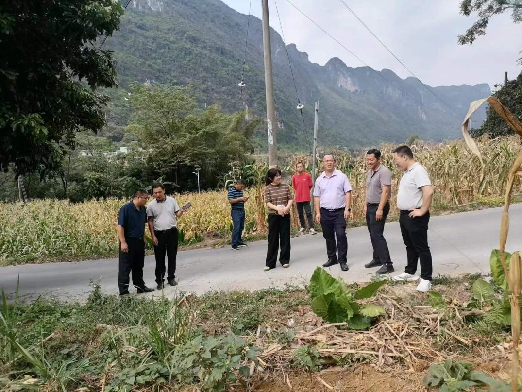 龍灣鄉(xiāng)政府領(lǐng)導(dǎo)向工作小組現(xiàn)場說明擬建道路走向